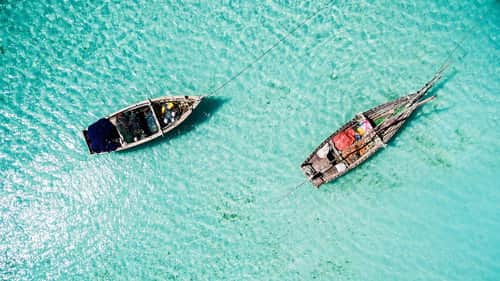 Zanzibar: Island life between passion, culture and dream beaches