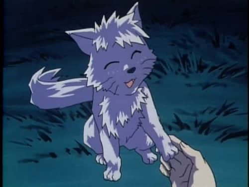 Curse of Wolves - Part 1