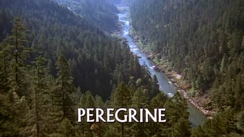 Peregrine