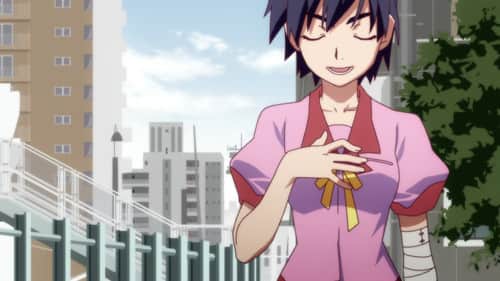 Suruga Monkey (1)