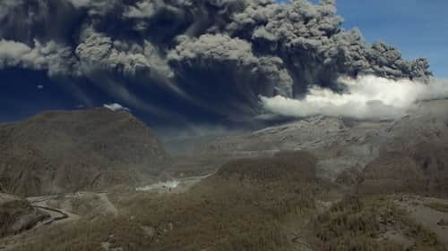 The Patagonia Untamed