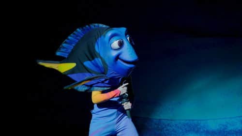Katie Whetsell: Finding Nemo - The Musical