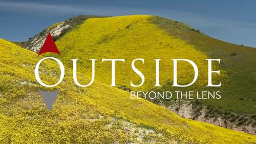 Super Bloom