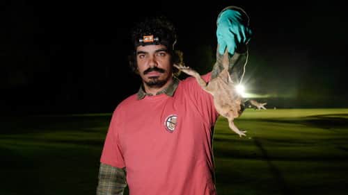 Cane Toad