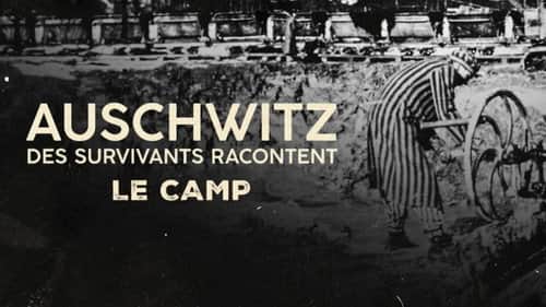 The camp