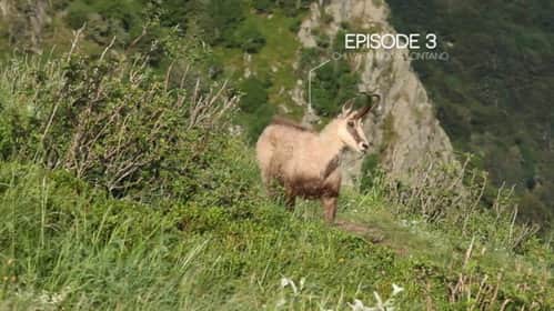 Episode 3