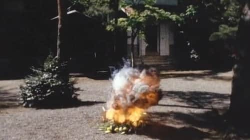 6 Targets!! The Flower Which Explodes