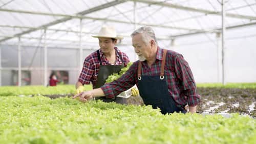 Family Farms