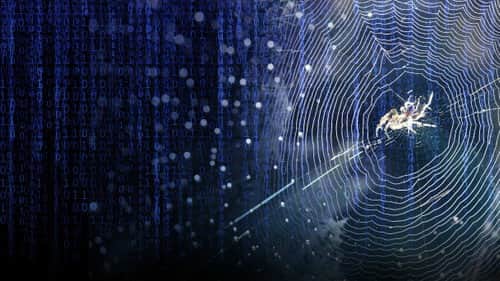 Web of Control