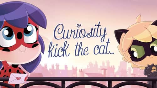 Curiosity Kicked the Cat
