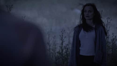 The Woman in the Woods