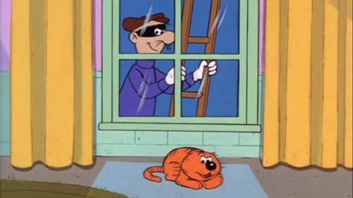 The Watch Cat