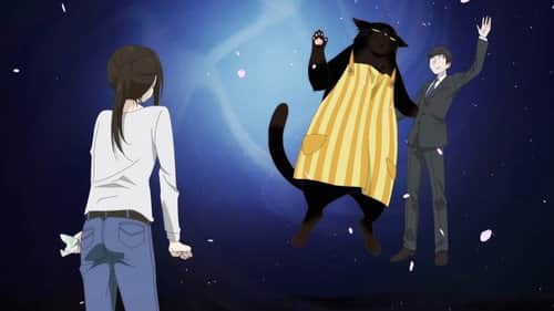 A Masterful Cat Is Able to DIY