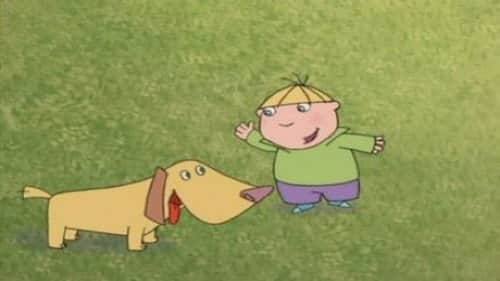 Dog Hair Spray