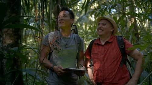 Secrets of the Lost City