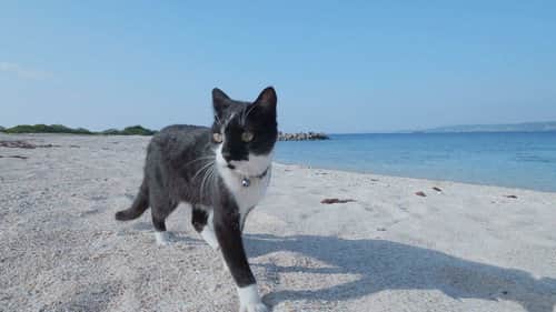 Okinawa/Kudaka: A Spiritual Paradise