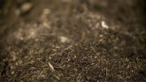 The Soil