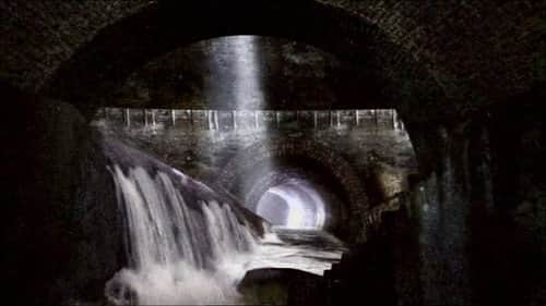The Sewer King