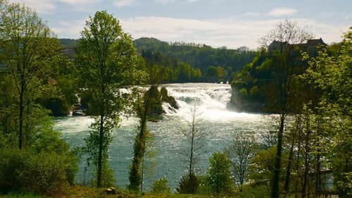 Der grüne Rhein