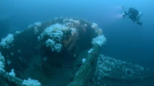 Curse of the Armada Graveyard