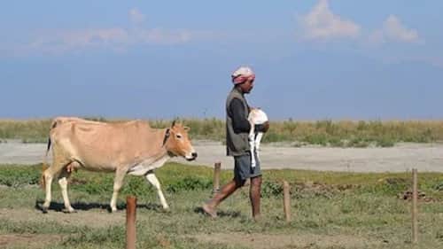 India's Realm of Big Animals