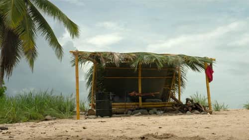 The Traders