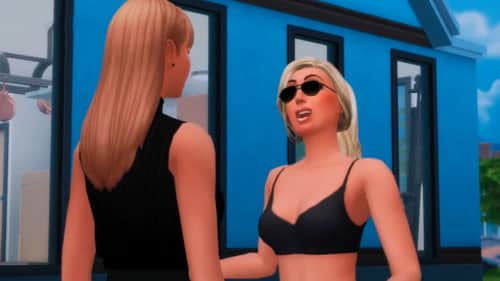 Perfect Illusion