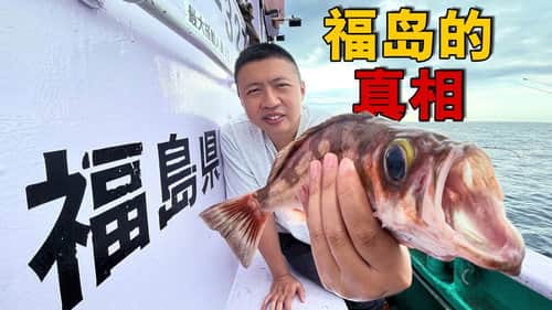 跟着福岛渔民出海，捞上来的鱼检测结果如何？【东瀛大宝荐02】