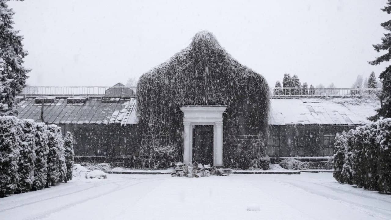 The Winter Garden’s Tale backdrop