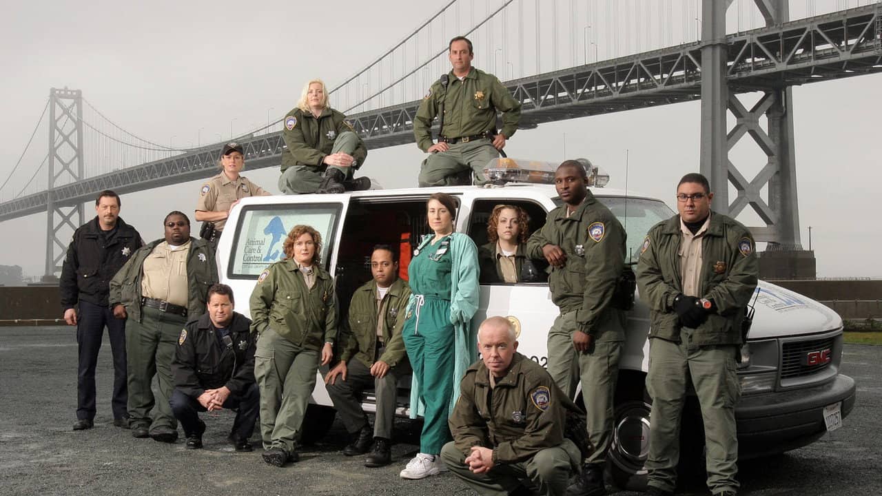 Animal Cops: San Francisco backdrop