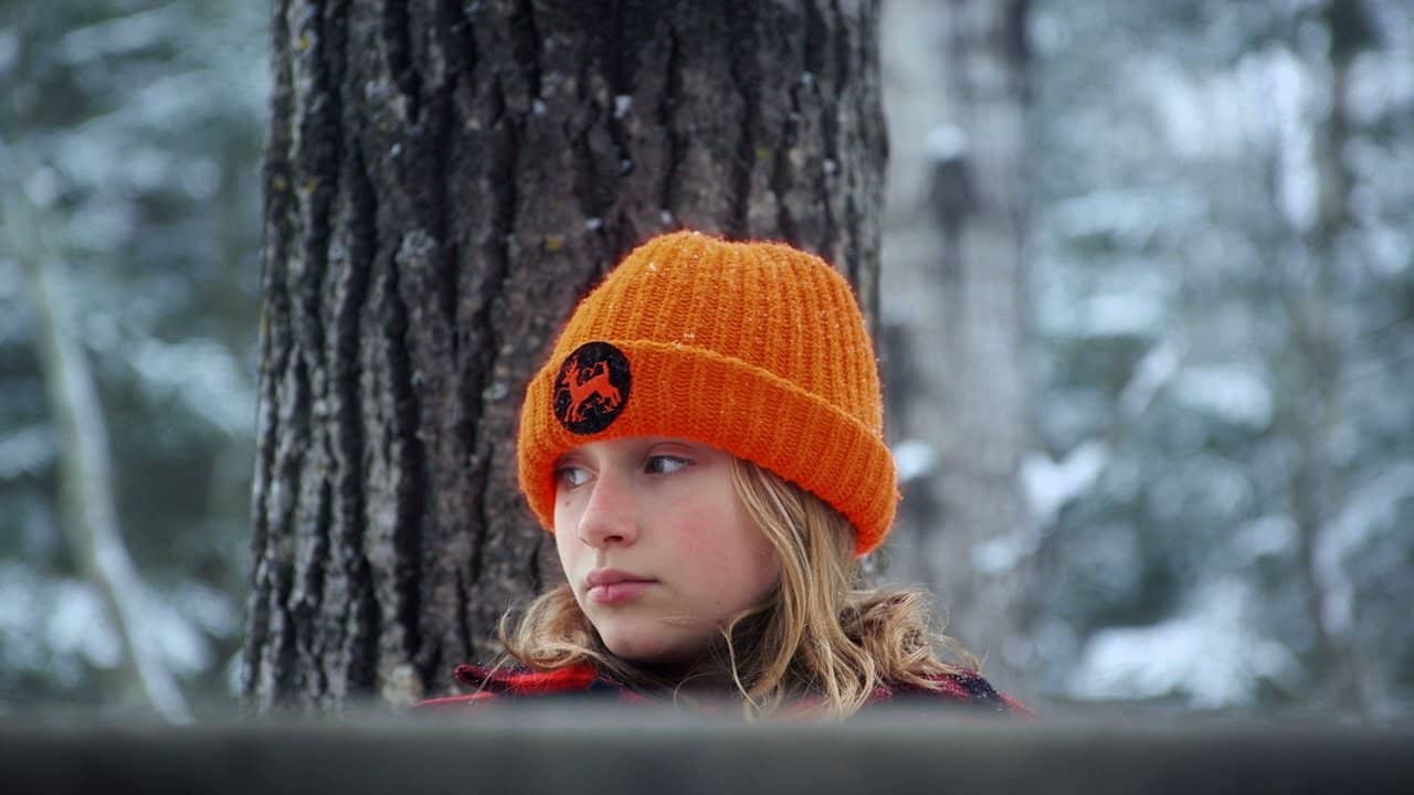 Cold November backdrop