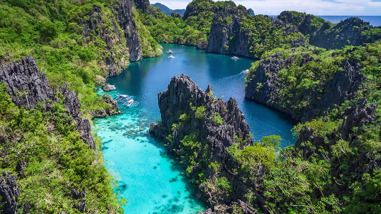 Untamed Philippines backdrop