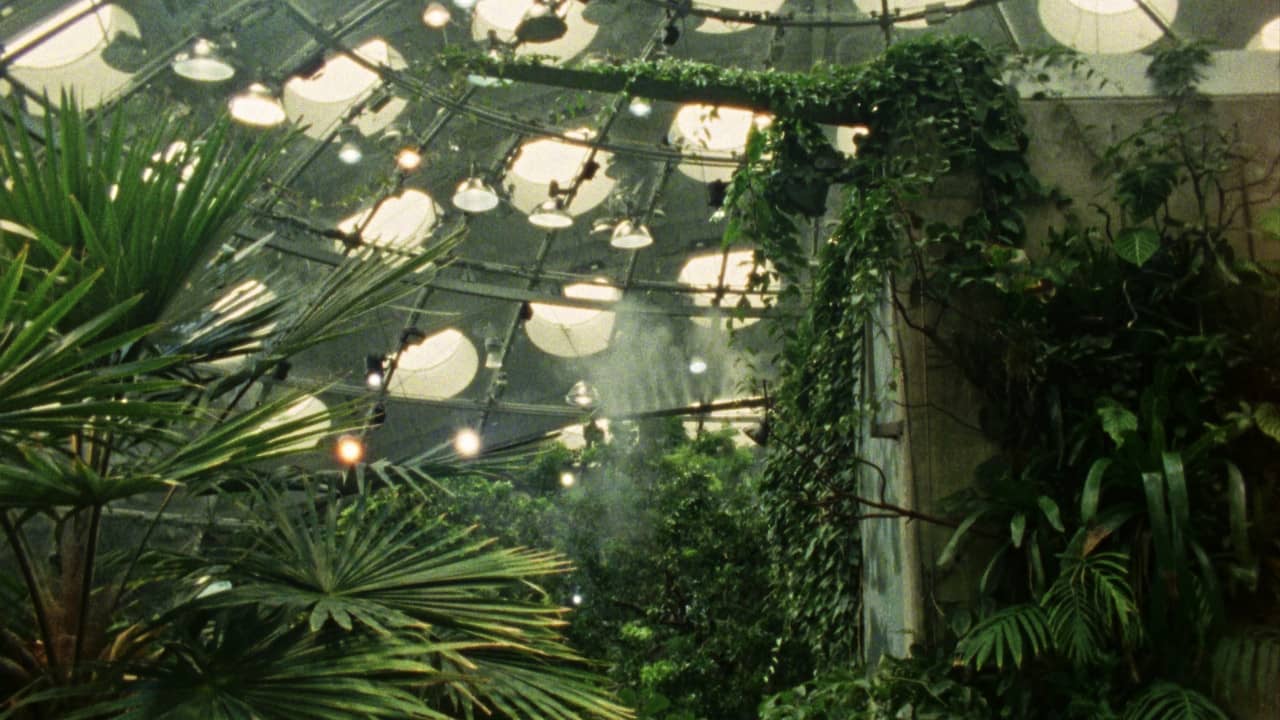 Tropical Fractals backdrop