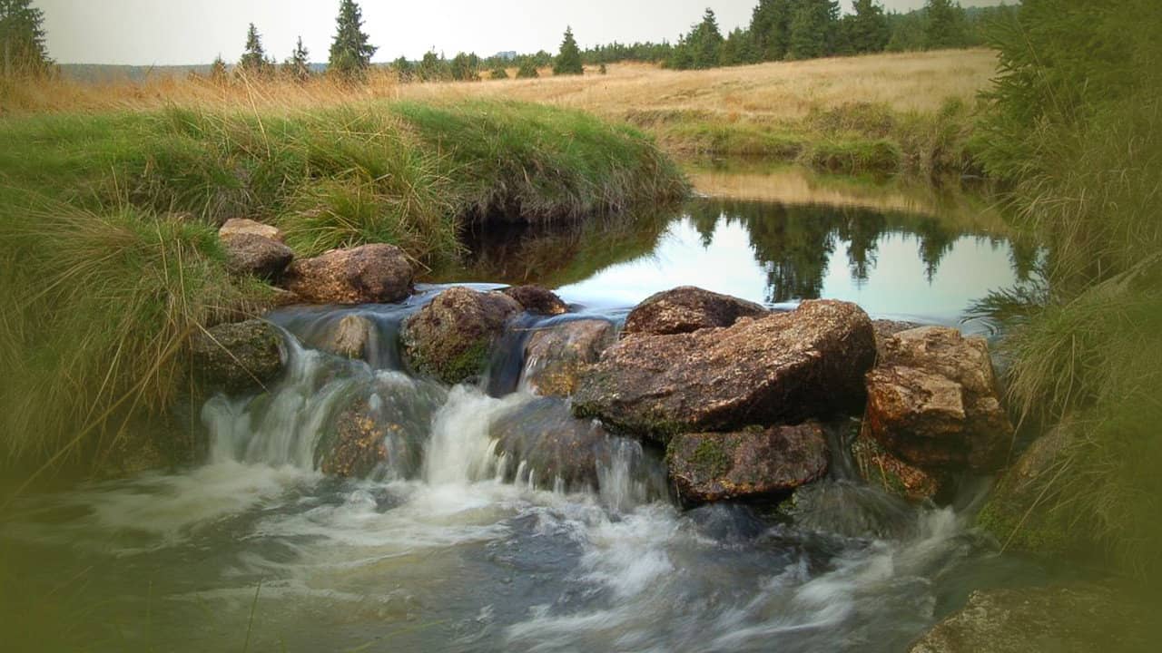 Tajný život skal backdrop