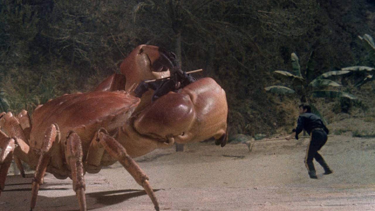 Island Claws backdrop