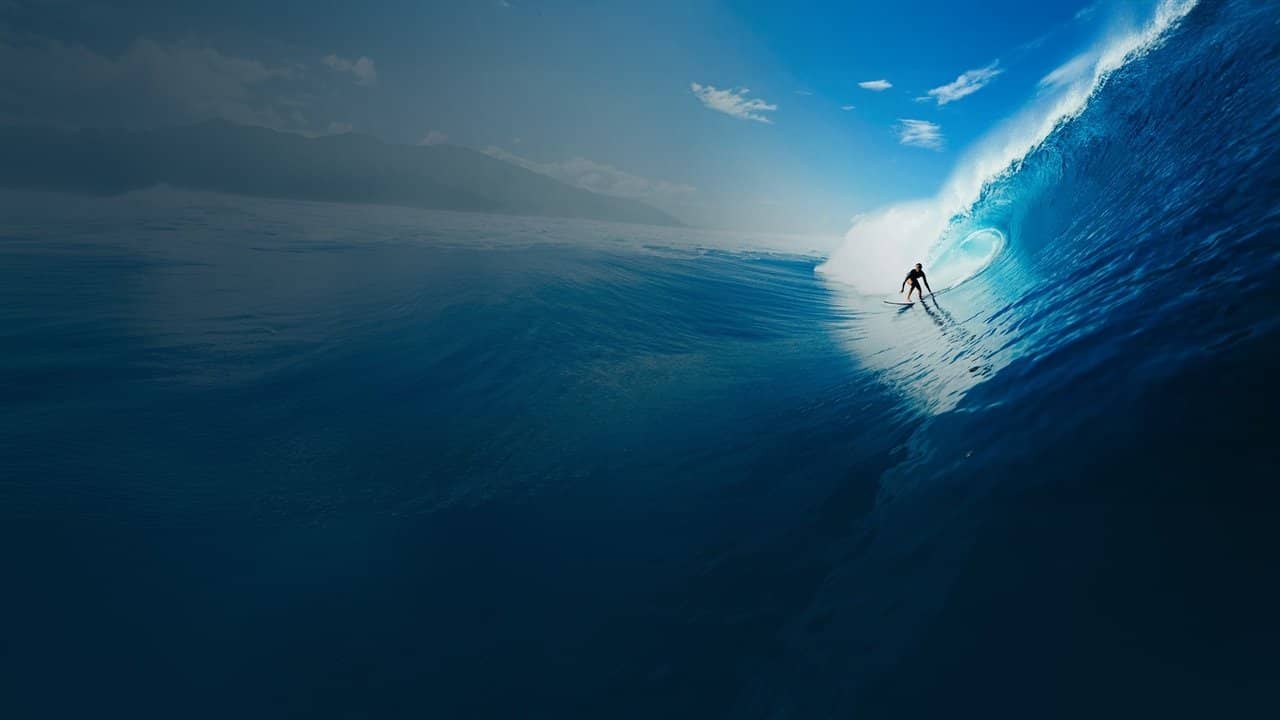 Holy Surf! - Once Upon a Wave backdrop