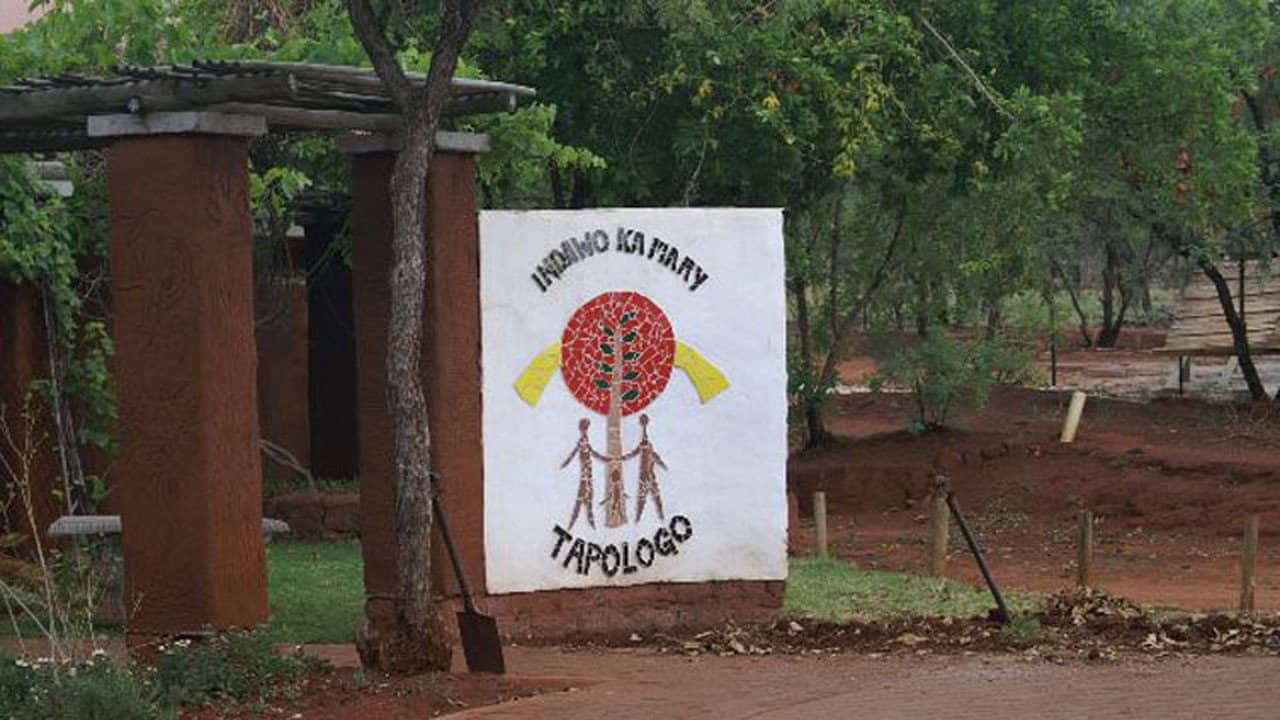 Tapologo backdrop