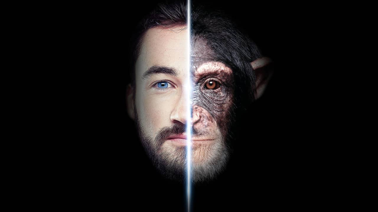 Going Ape backdrop