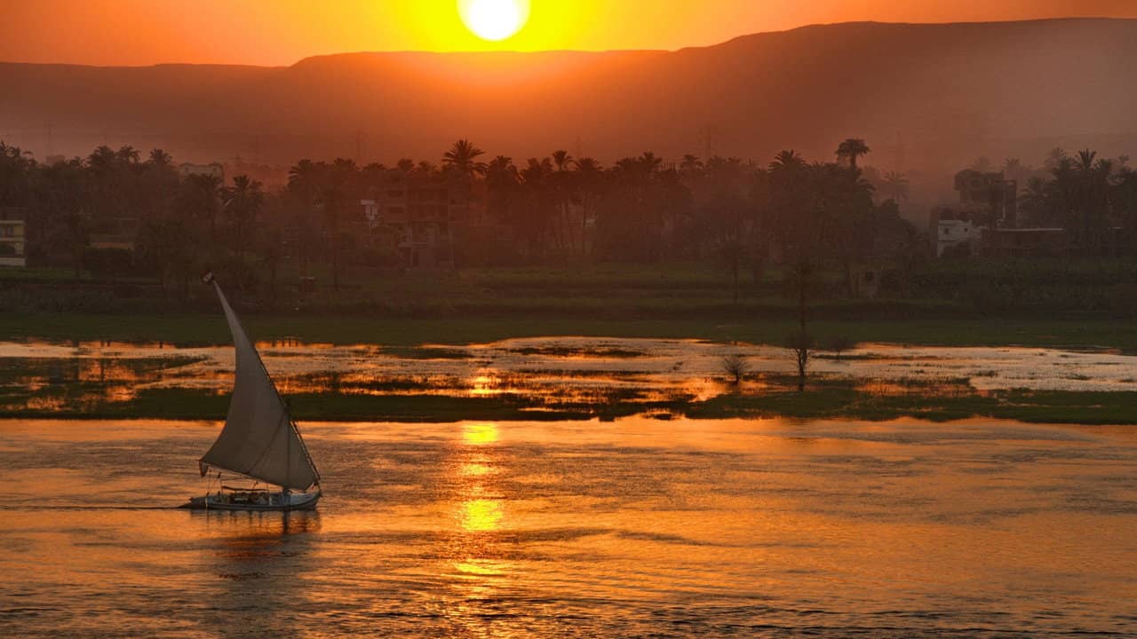 Wild Nile backdrop