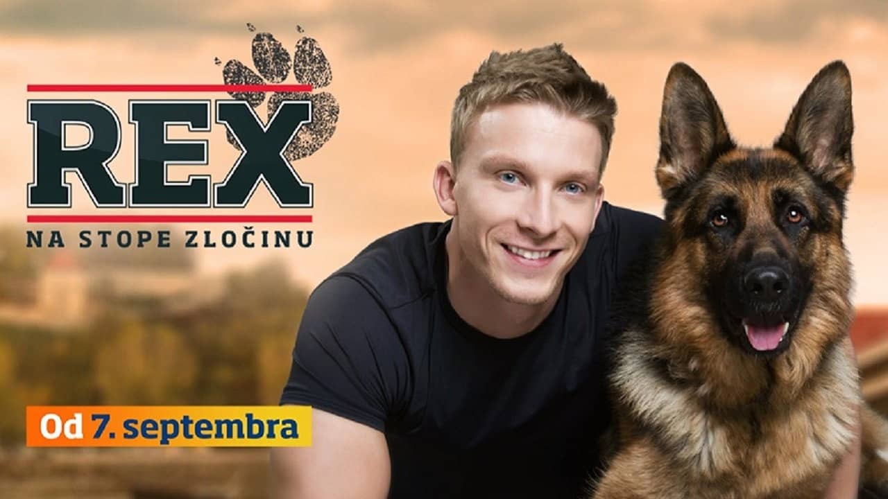 Rex backdrop