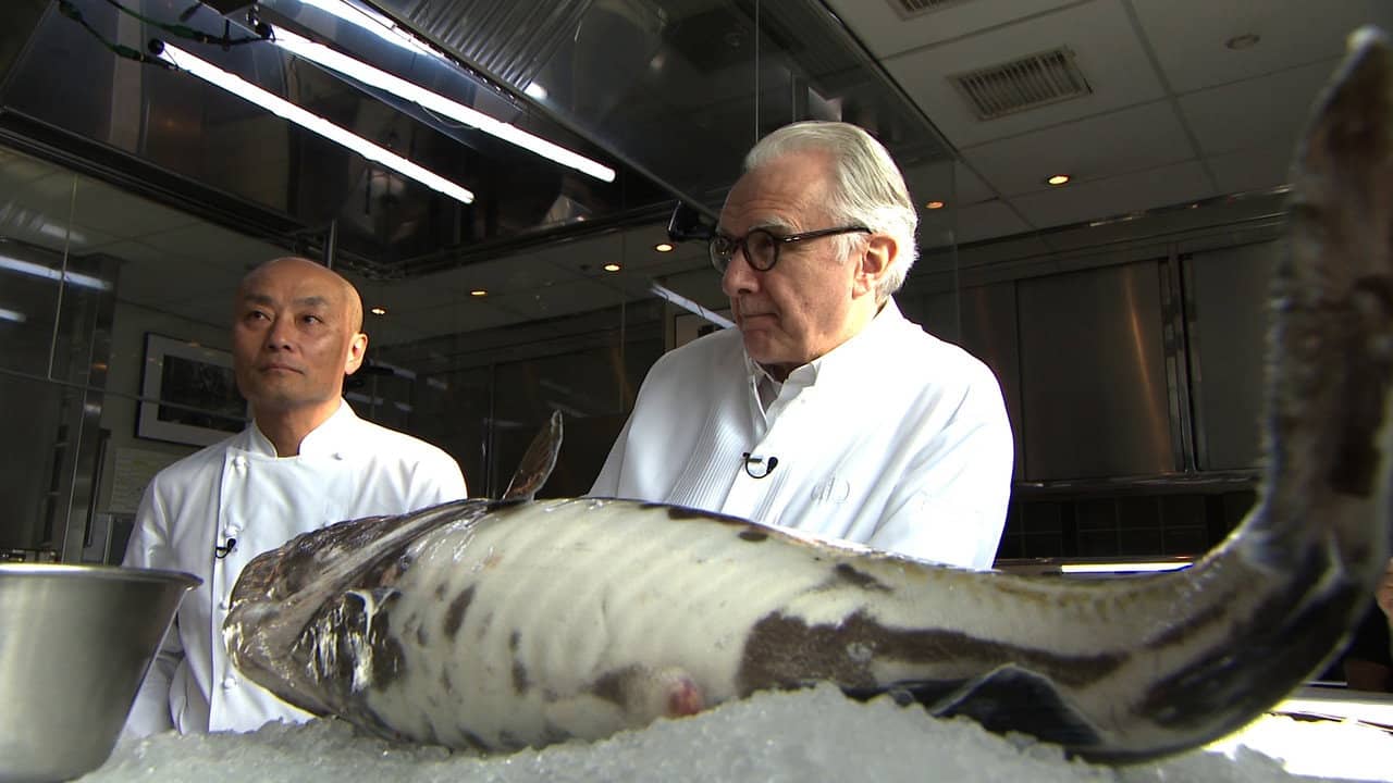 Alain Ducasse, Japanese Cuisine Par Excellence backdrop