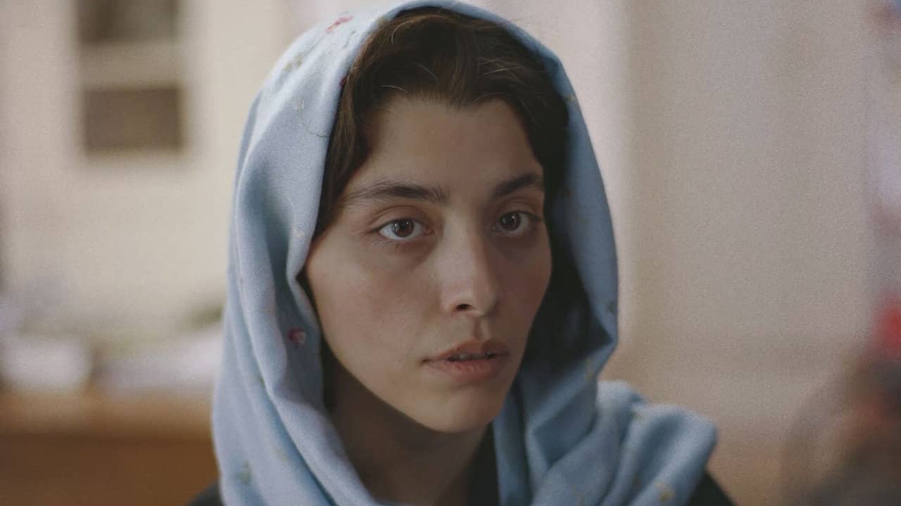 Farzaneh's Migration backdrop