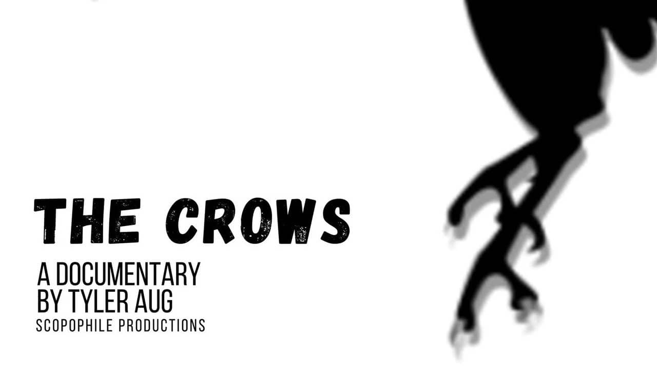 The Crows backdrop