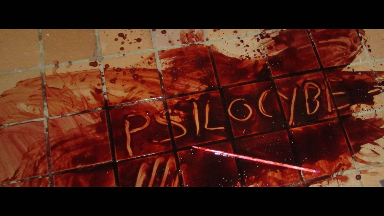 Psilocybe backdrop