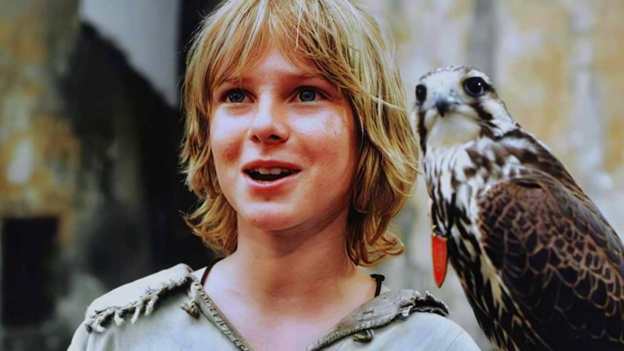 Tomáš and the Falcon King backdrop
