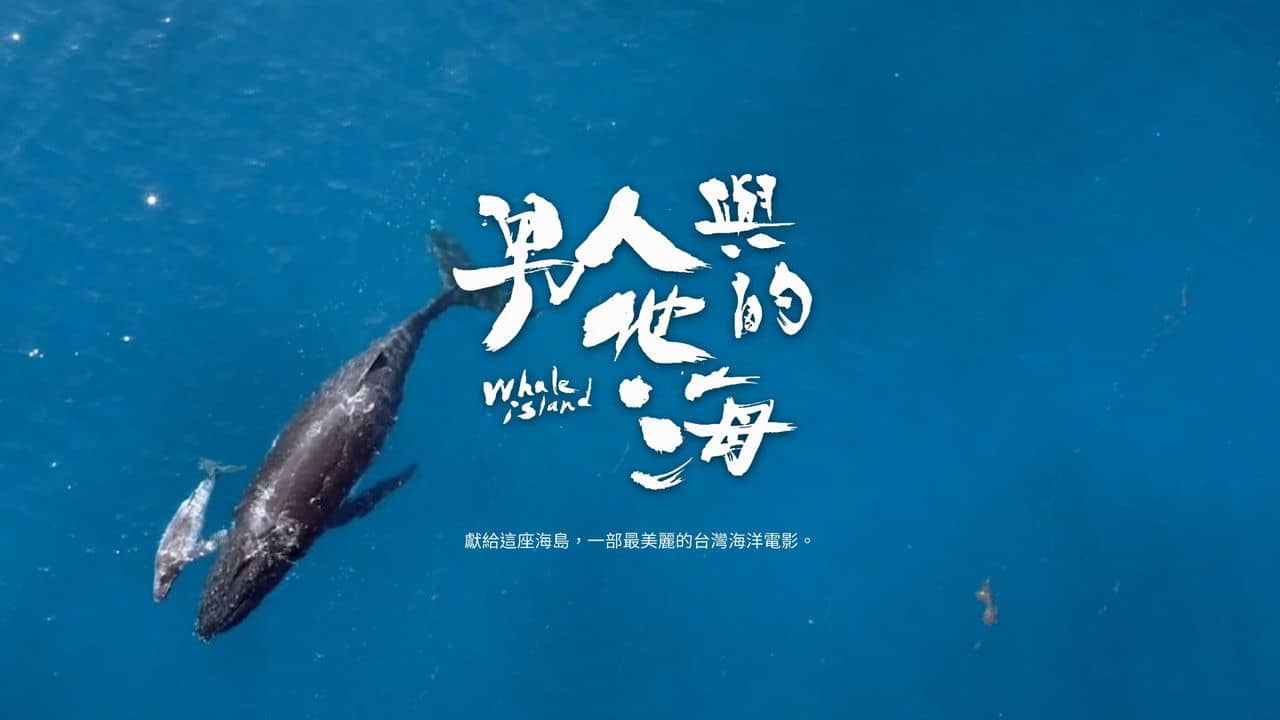 Whale Island backdrop