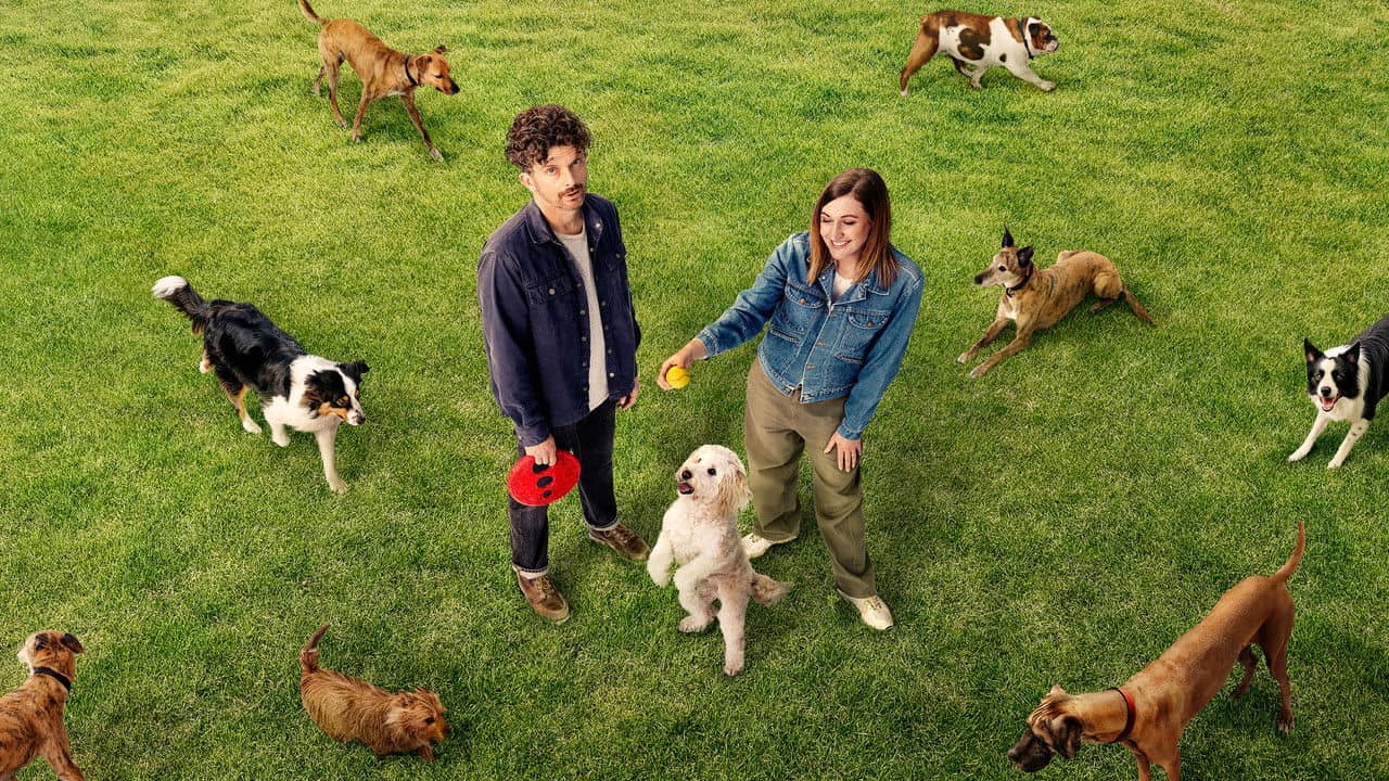 Dog Park backdrop