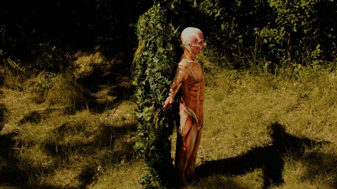 Leaf Man backdrop
