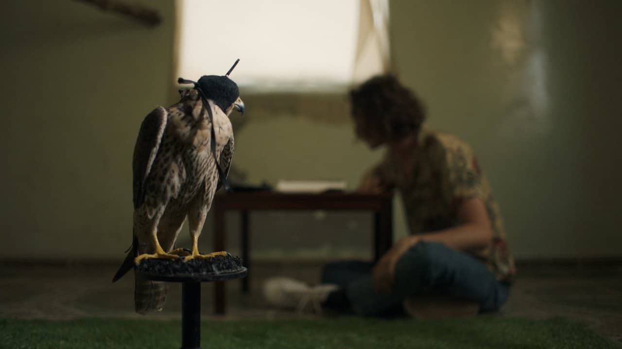 The Falconer backdrop