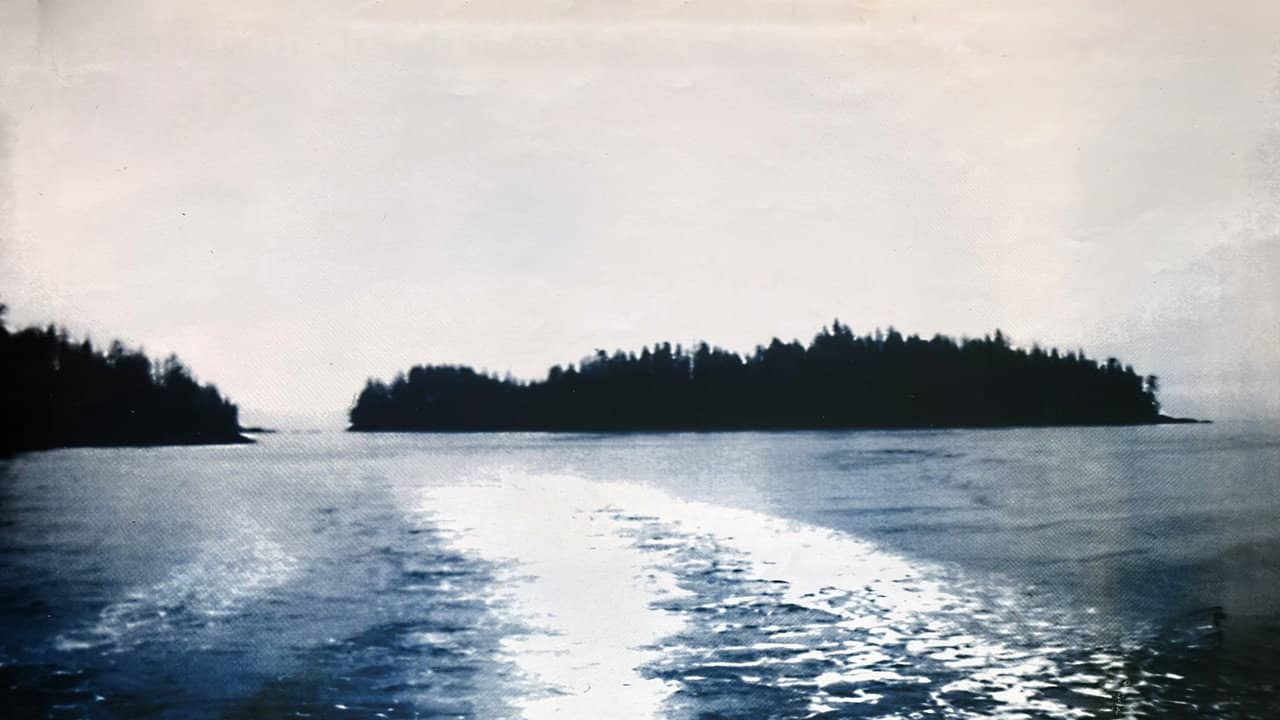 Misty Isle Out backdrop